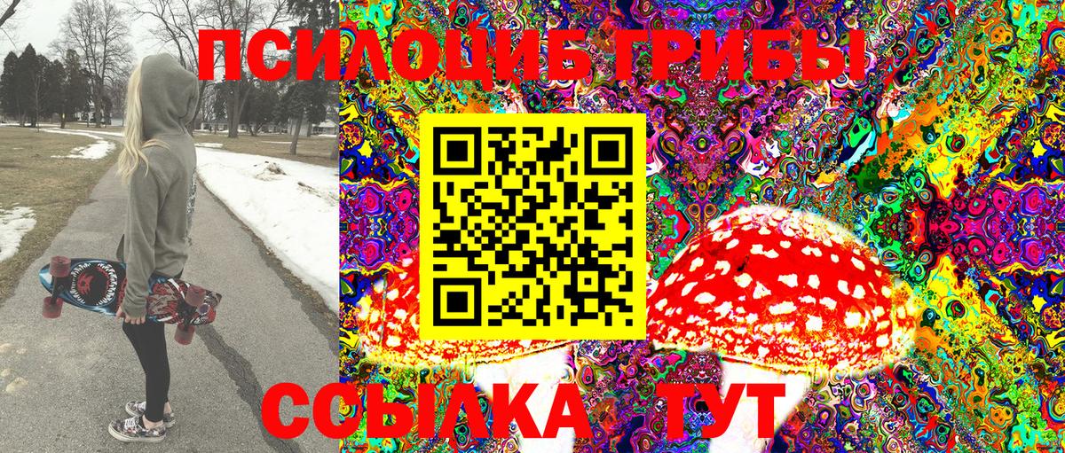 Галлюциногенные грибы Psilocybine cubensis Когалым